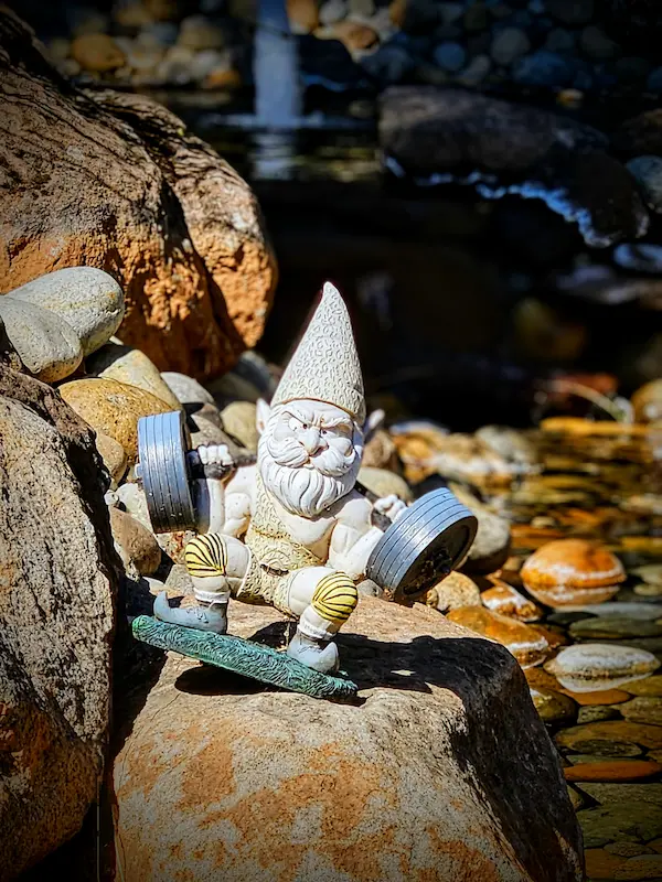 Weightlifting Gnome